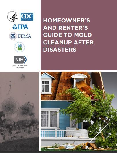 mold renters homeowner guide cover page jpeg